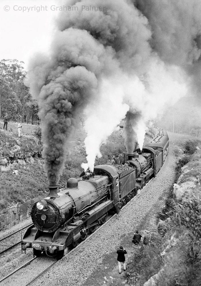 Locomotives 3529 and 3501 in a synchronised display of smoke and steam on Fassifern Bank, 1966.