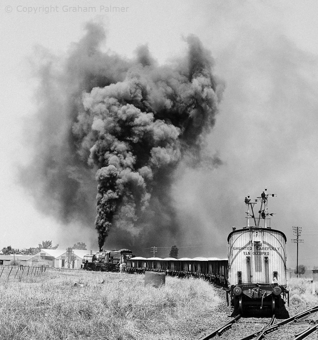 Garratt locomotive 6015 works hard to lift a ballast train out of Dubbo, 1967.