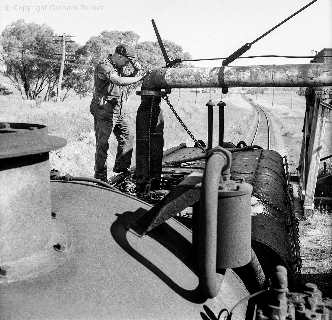 Fireman Ron Murray tends the water hose atop locomotive 6040 at Store Creek, 1967.