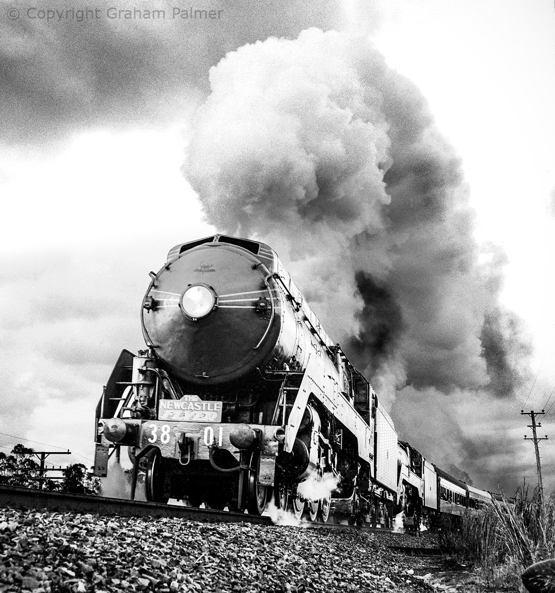 Steam locomotive 3801, the Newcastle Flyer, throws a plume of smoke on a photo run at Hawkmount, 1966.