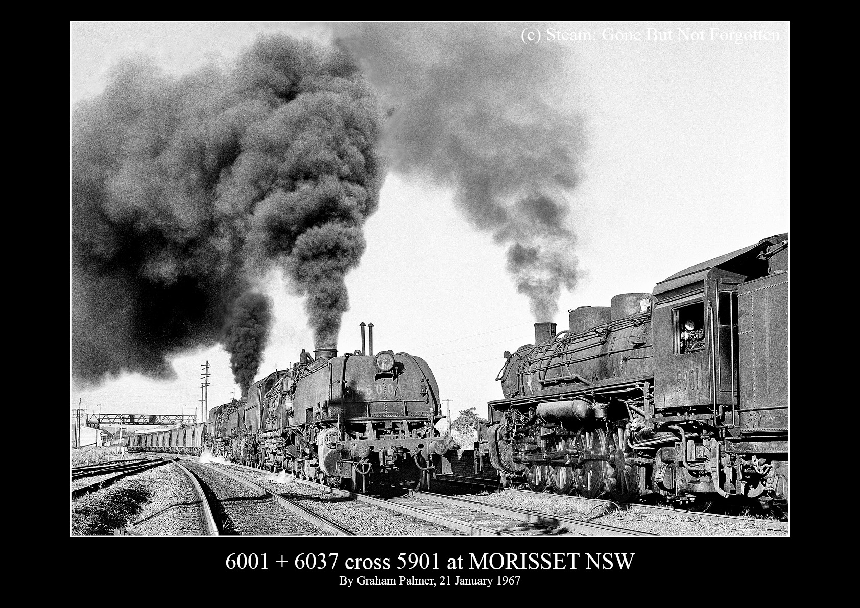6001 and 6037 cross 5901 at Morisset, NSW, 21 January 1967 — black border.