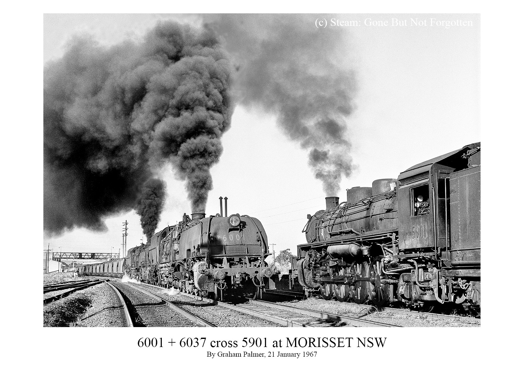 6001 and 6037 cross 5901 at Morisset, NSW, 21 January 1967 — white border.