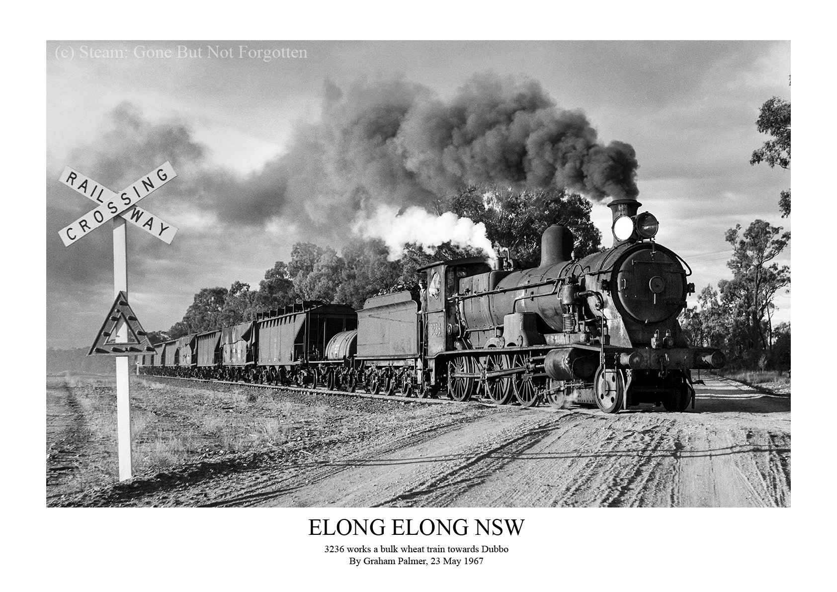 3236 works a bulk wheat train towards Dubbo at Elong Elong, NSW, 23 May 1967 — white border.