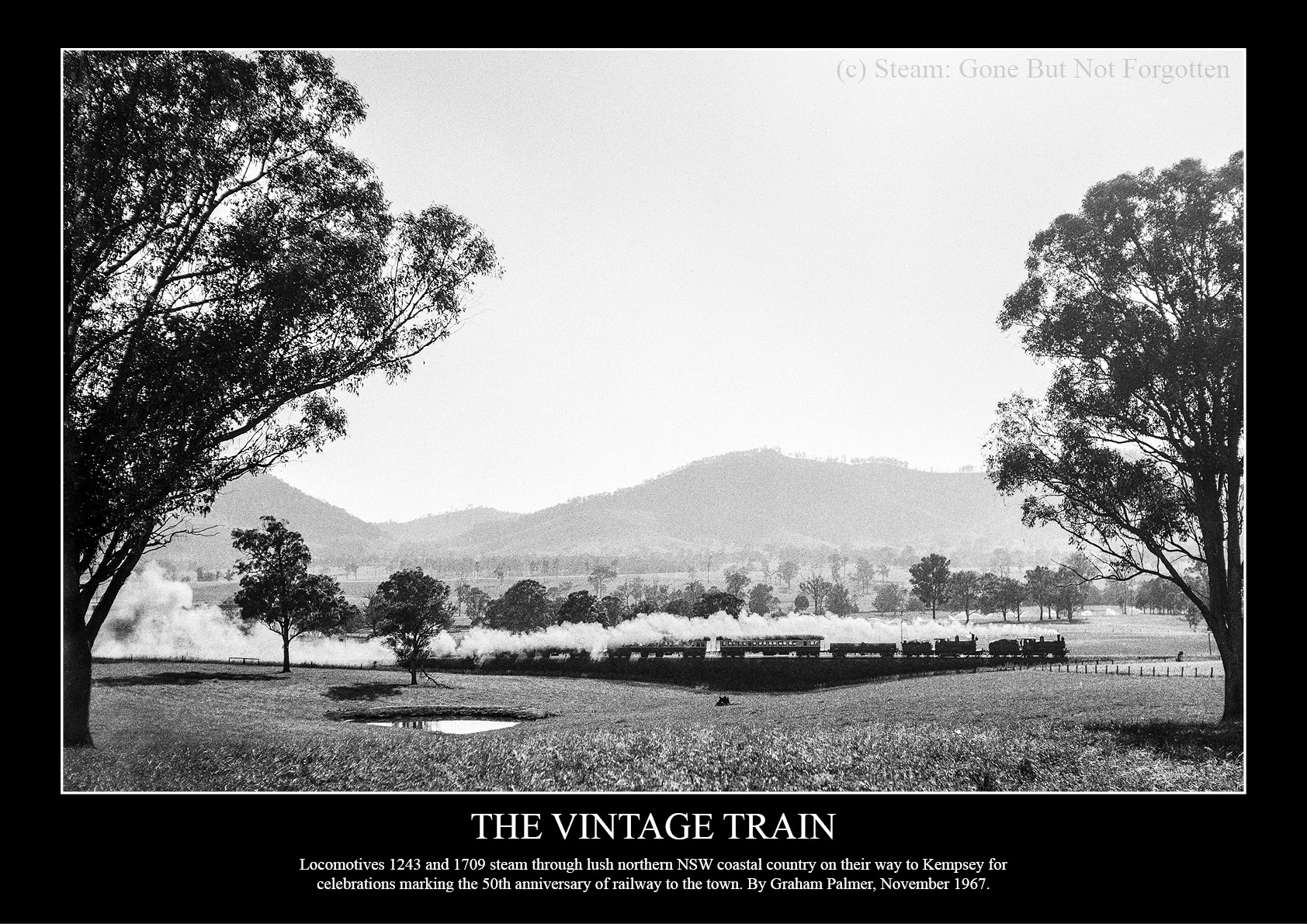 The Vintage Train: 1243 and 1709 near Kempsey, NSW, November 1967 — black border.
